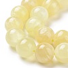 Natural Yellow Selenite Beads Strands G-N328-025E-03-4