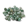Natural Green Aventurine Beads G-P458-01-1