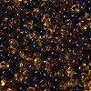 Transparent Colours Glass Seed Beads X1-SEED-P006-02A-10-3