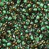 Glass Seed Beads X1-SEED-H002-B-D221-3