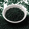 MIYUKI Round Rocailles Beads SEED-JP0009-RR0156F-2