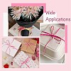 1 Roll Segment Dyed Raffia Paper Cords for DIY Craft OCOR-CJ0004-12-7
