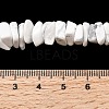 Natural Howlite Beads Strands G-A285-A12-01-5