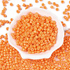 Opaque Baking Paint Glass Seed Beads SEED-T008-02F-2