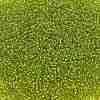 TOHO 11/0 Round Beads X-SEED-TR11-0024-2