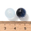 Mixed Style Glass Beads GLAA-XCP0012-02M-3
