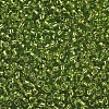 12/0 Glass Seed Beads X2-SEED-A005-2mm-24-2