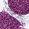 FGB Plated Glass Seed Beads SEED-S020-03A-03-1
