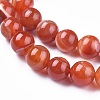 Natural Striped Agate/Banded Agate Beads Strands G-I261-C03-10mm-3
