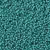 MIYUKI Round Rocailles Beads SEED-JP0010-RR3765-3