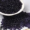 Transparent Colours Glass Seed Beads X1-SEED-P006-02A-12-1