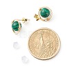 Synthetic Malachite Round Beads Stud Earrings for Girl Women EJEW-JE04666-03-4