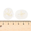 16Pcs 16 Styles Natural Quartz Crystal Display Decorations G-F786-02A-08-3