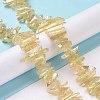 Natural Quartz Crystal Points Beads Strands G-K181-B27-4