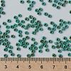 MIYUKI Round Rocailles Beads X-SEED-G008-RR4514-4