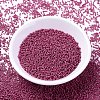 MIYUKI Delica Beads SEED-MY11-DB2118-2