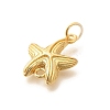 Rack Plating Brass Star Fish Connector Charms KK-L225-046G-2