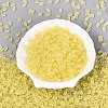 FGB Frosted Transparent Glass Seed Beads SEED-N013-06A-02-2