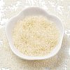 Transparent Inside Colours Glass Seed Beads SEED-H003-04B-2
