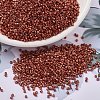 MIYUKI Delica Beads SEED-MY11-DB1838-1