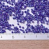 MIYUKI Delica Beads X-SEED-J020-DB0165-4
