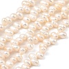 Natural Cultured Freshwater Pearl Beads Strands PEAR-I007-04C-01A-2
