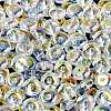 Transparent Colours Rainbow Glass Seed Beads SEED-Q042-01A-E01-3