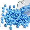 TOHO 3/0 Round Beads X-SEED-TR03-0043-1