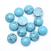 Synthetic Turquoise Cabochons G-P393-R13-10MM-1