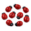 Dyed Beetle Wood Cabochons with Label Paster on Back WOOD-R255-04-5