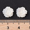 Natural White Shell Beads SSHEL-C012-06-3