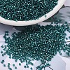 MIYUKI Delica Beads SEED-JP0008-DB1769-1