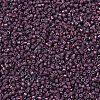 MIYUKI Delica Beads X-SEED-J020-DB1012-3