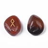 Natural Carnelian Carved Beads G-M366-03-2