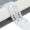 Natural Selenite Beads Strands G-F750-09-2