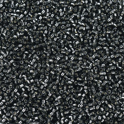 MIYUKI Delica Beads X-SEED-J020-DB0613-1