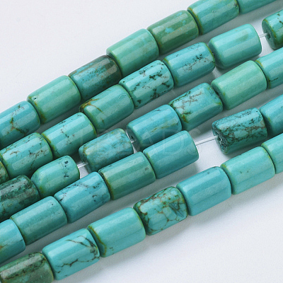 Natural Magnesite Beads Strands TURQ-K003-21D-1
