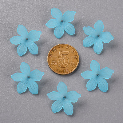 Frosted Acrylic Bead Caps MACR-S371-05A-755-1