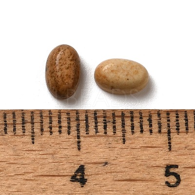 Natural Picture Jasper Cabochons G-F605E-21A-1