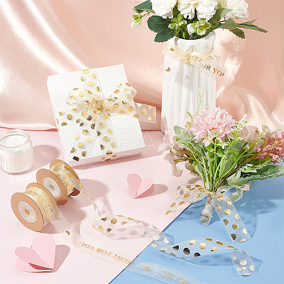 2 Rolls 2 Styles Valentine's Day Hot Stamping Polka Dot & Word Organza Ribbons SRIB-FG0001-17-1