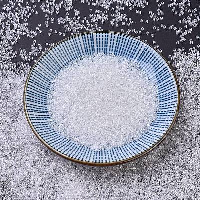 MIYUKI Delica Beads SEED-MY11-DB0141-1