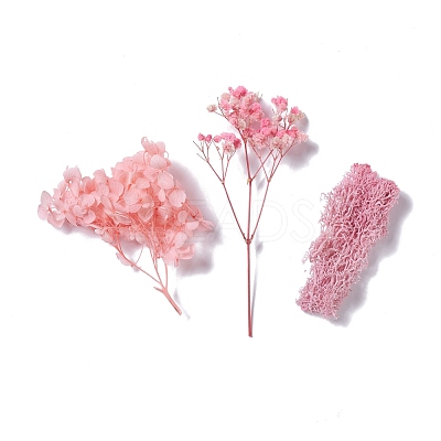 Dried Flowers X-DIY-D052-05-1