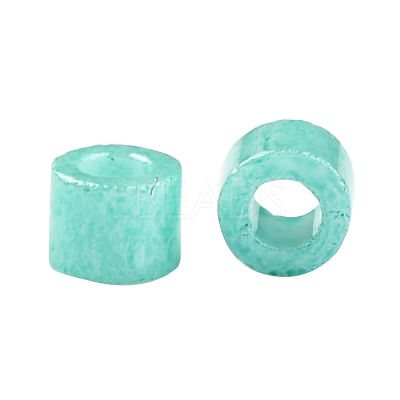 Cylinder Seed Beads SEED-H001-H03-1