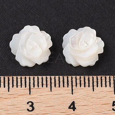 Natural White Shell Beads SSHEL-C012-06-1