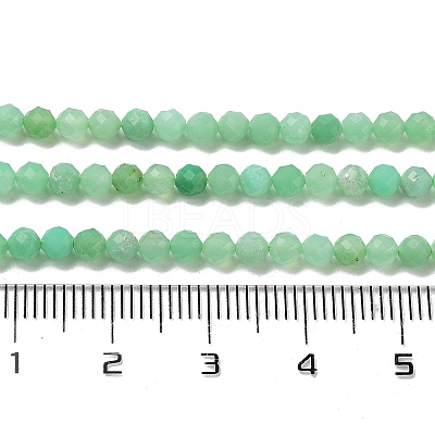 Natural Chrysoprase Beads Strands G-B088-C19-03-1