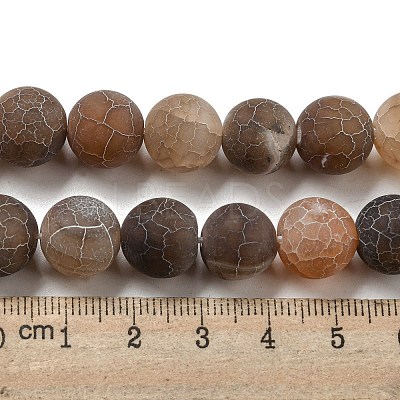 Natural Weathered Agate Beads Strands G-P538-A01-06-1