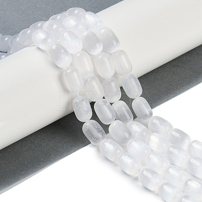 Natural Selenite Beads Strands G-F750-09-1