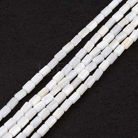 Natural Freshwater Shell Dyed Beads Strands SHEL-M018-12-12-1