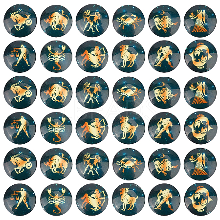 48pcs 12 Style Glass Cabochons GLAA-AR0001-11-1