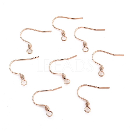 304 Stainless Steel Earring Hooks STAS-E484-55RG-1